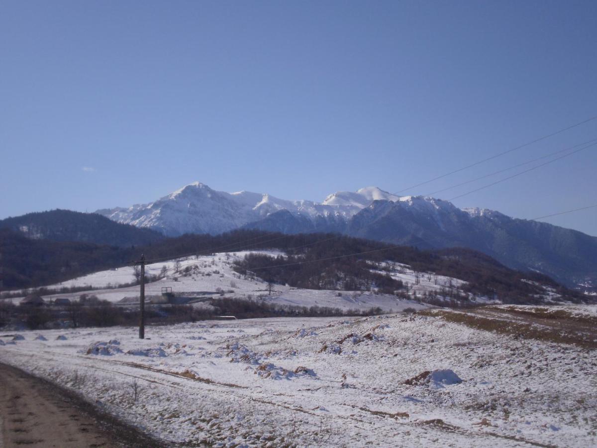 Pensiunea Rasnov Exterior photo