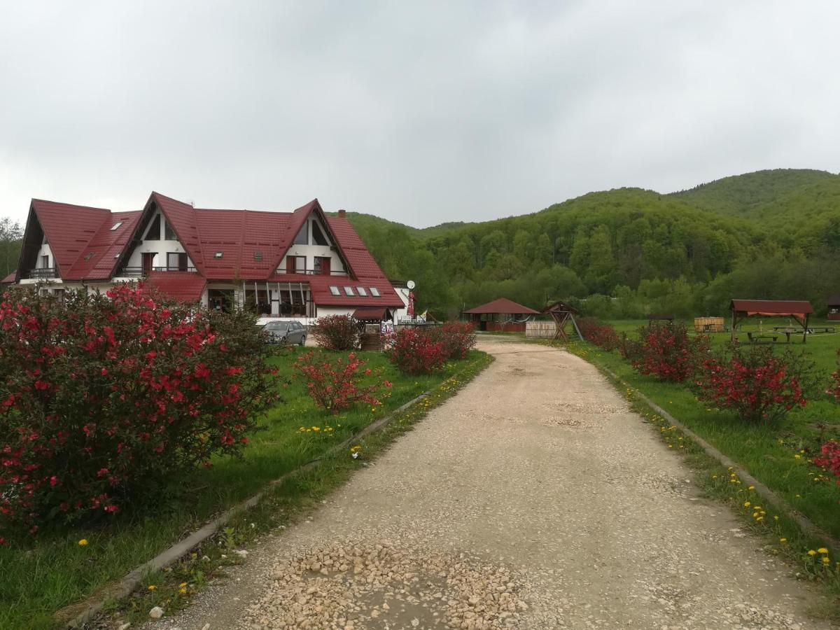 Pensiunea Rasnov Exterior photo