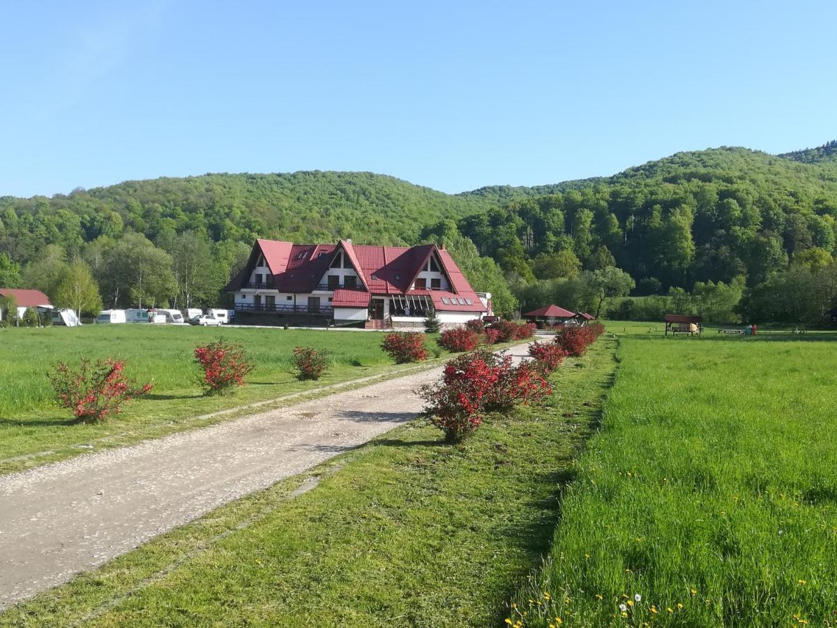 Pensiunea Rasnov Exterior photo